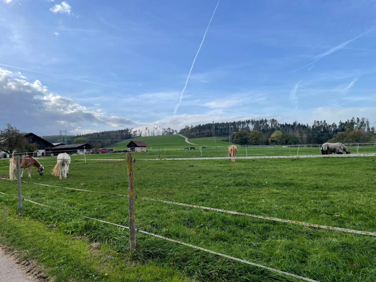Im Grünen - Ferienwohnung mit privatem Garten, Terrasse, Spielplatz&schöner Aussicht Weilheim Exterior foto