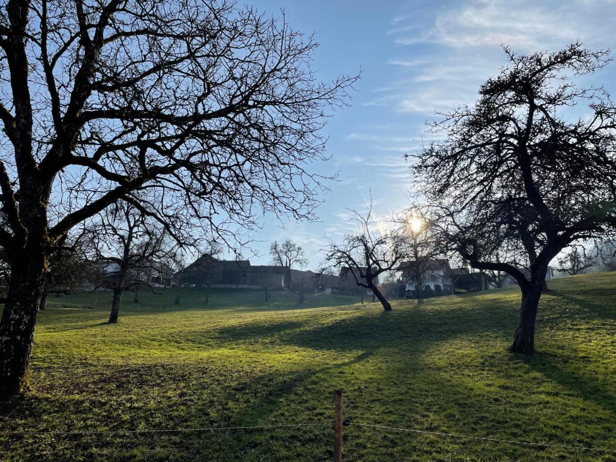 Im Grünen - Ferienwohnung mit privatem Garten, Terrasse, Spielplatz&schöner Aussicht Weilheim Exterior foto